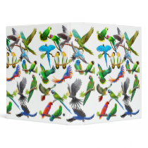 Colorful Pet Parrots Avery Binder