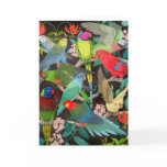 Colorful Pet Parrots of the World Card