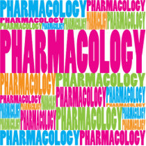Colorful Pharmacology photo sculptures