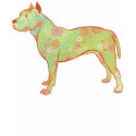 Colorful Pitbull/AmStaff Design t-shirts