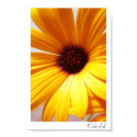 Colorful posters