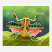 Colorful Praying Mantis Bug Poster