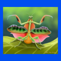 Colorful Praying Mantis Bug Poster