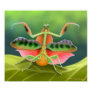 Colorful Praying Mantis B...