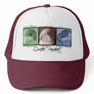 Colorful Quaker Parakeet Hat by MenagerieMayhem