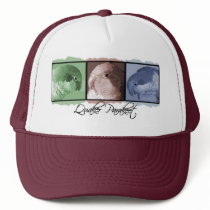 Colorful Quaker Parakeet Hat