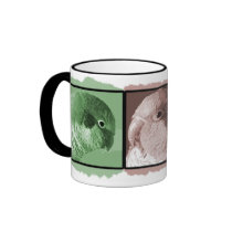 Colorful Quaker Parakeet Mug