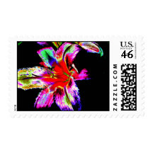 Colorful Rainbow Daylily Stamps