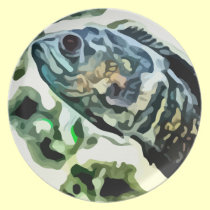 colorful Rainbow fish painting. plates