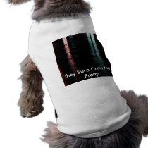 Colorful reflections pet clothing