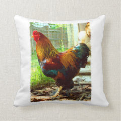 Colorful Rooster Pillow