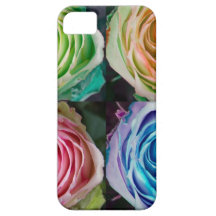 Colorful Rose Spirals iPhone 5 Cover