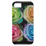 Colorful Rose Spirals With Love iPhone 5 Covers