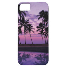 Colorful Scene of Palm Trees at Sunset iPhone 5 Cases