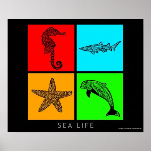 Colorful Sea Life Posters