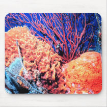 Colorful Sea Sponge Mousepad