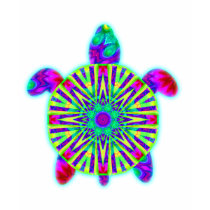 Colorful Sea Turtle Kids' Dark Shirts