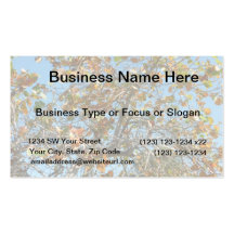 Colorful seagrape tree against blue florida sky business cards