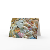 Colorful Shells Greeting Card