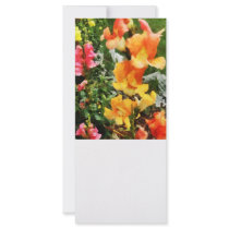 Colorful Snapdragons Customized Rack Card