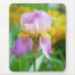 Colorful Spring Iris Mousepads