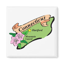 Colorful State of Connecticut Map Tees, Gifts Magnet