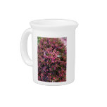 Colorful Summer flowering Heather Drink Pitcher