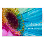 Colorful Sunflower Card