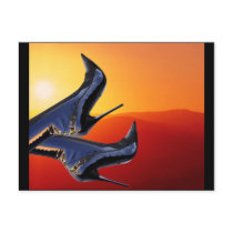 Colorful Sunset Boots Post Cards