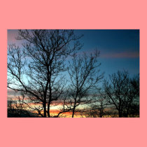 Colorful Sunset posters