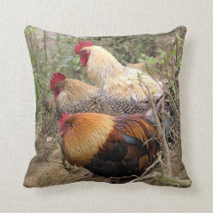 Colorful Threesome of Roosters Throw Pillows