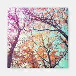 Colorful trees fridge magnets