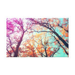 Colorful trees stretched canvas prints