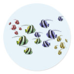 Colorful Tropical Fish Swimming Free Stickers