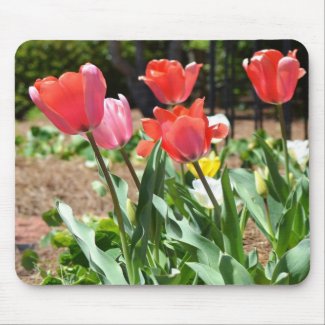 Colorful Tulips mousepad