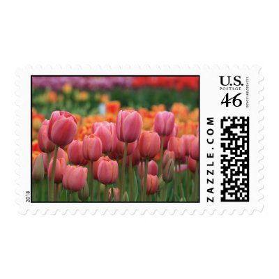 COLORFUL TULIPS Postage