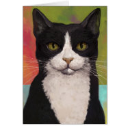Colorful Tuxedo Cat card