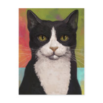 Colorful Tuxedo Cat Post Cards
