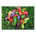 Colorful Veggies and Maple Leaves Card