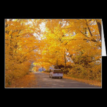 Colorful Vermont Foliage cards