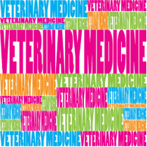 Colorful Veterinary Medicine photo sculptures by busybees Colorful Veterinary Medicine photo sculptures