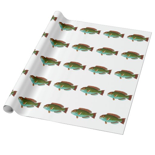 Colorful Vintage Fish Wrapping Paper Zazzle