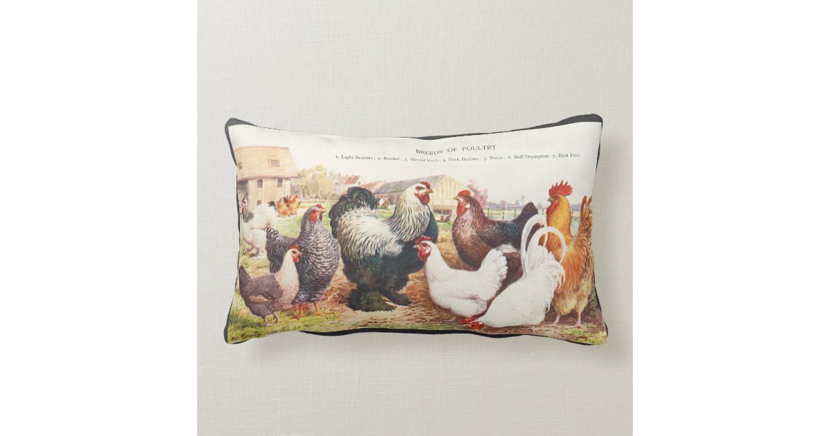 Colorful vintage group of chickens on throw pillow Zazzle