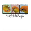 Colorful White Bellied Caique Kid's Ringer T-Shirt by MenagerieMayhem Colorful White Bellied Caique Kid's Ringer T-Shirt