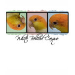 Colorful White Bellied Caique Kid's Ringer T-Shirt