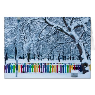 Colorful Winter Fence