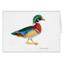 Colorful Wood Duck cards
