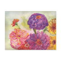 Colorful Zinnias Postcard
