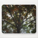 ColorfulTree Mouse Pad mousepads