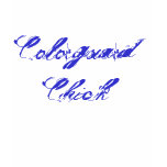 Colorguard Chick t-shirts